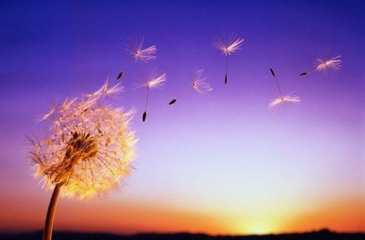 Bayram günlərinin hava proqnozu açıqlandı