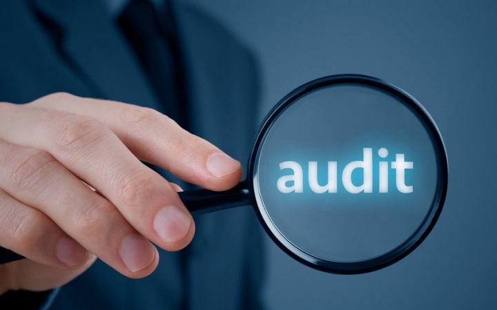 "Aqroservis" auditor seçir