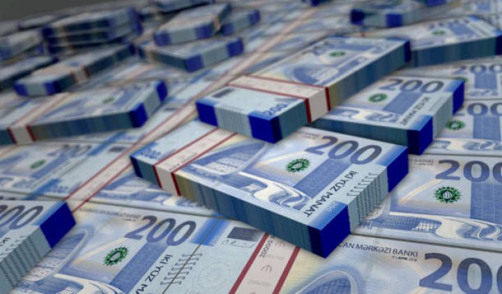 Azərbaycan şirkətinin mayası 6 milyon manatdan çox azaldılıb