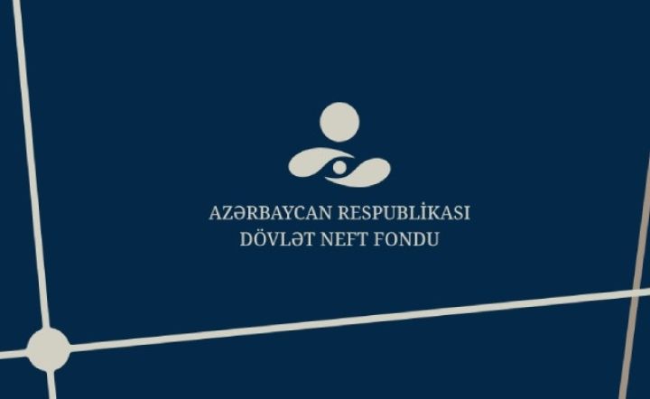 Dövlət Neft Fondunun 2024-cü il üzrə investisiya fəaliyyətinin yekunları - İNFOQRAFİKA