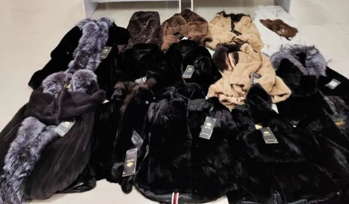 Xəz dəri məmulatlarının qanunsuz yolla ölkəyə gətirilməsi cəhdinin qarşısı alınıb