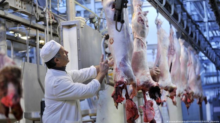 Heyvanların erkən kəsimi ilə bağlı cərimə tətbiq oluna bilər