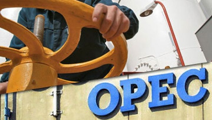 OPEC Azərbaycana dəvətnamə göndərib