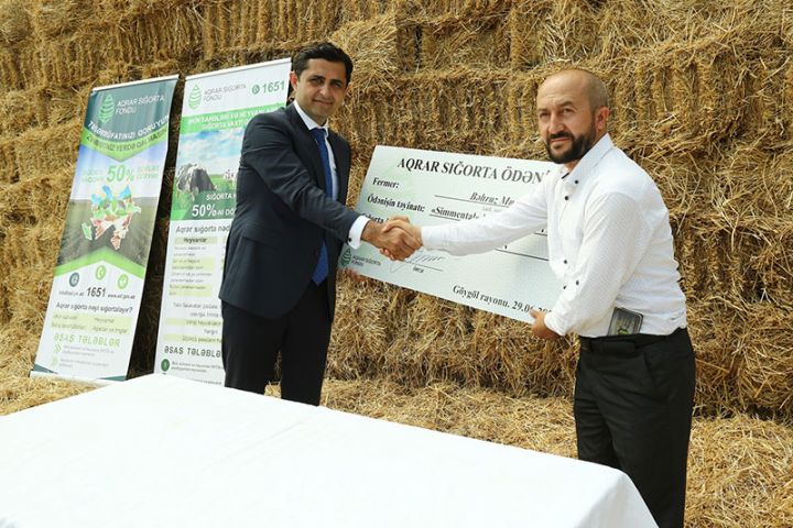 Dövlət dəstəyi ilə ilk aqrar sığorta ödənişi həyata keçirildi - MƏBLƏĞ