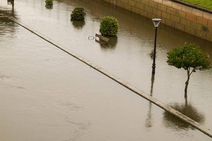 11 gün ərzində 5 minə yaxın sığorta hadisəsi qeydə alınıb